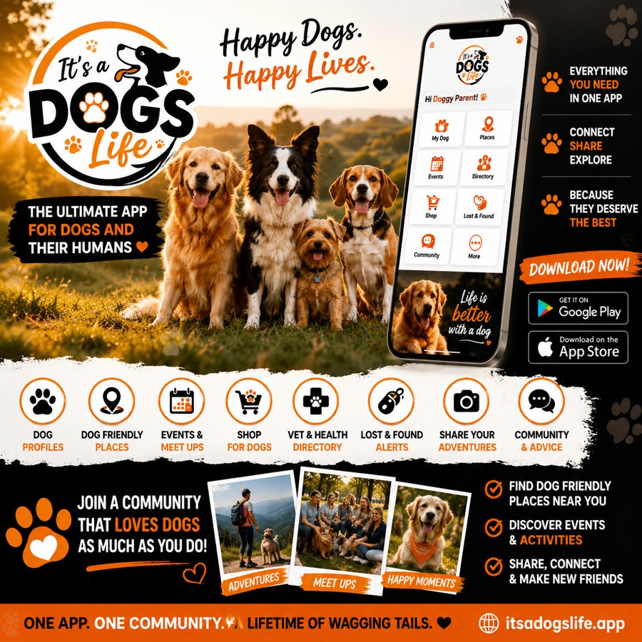 It's a Dogs Life social post